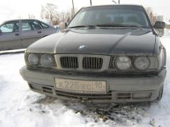 IMG_0311.JPG
