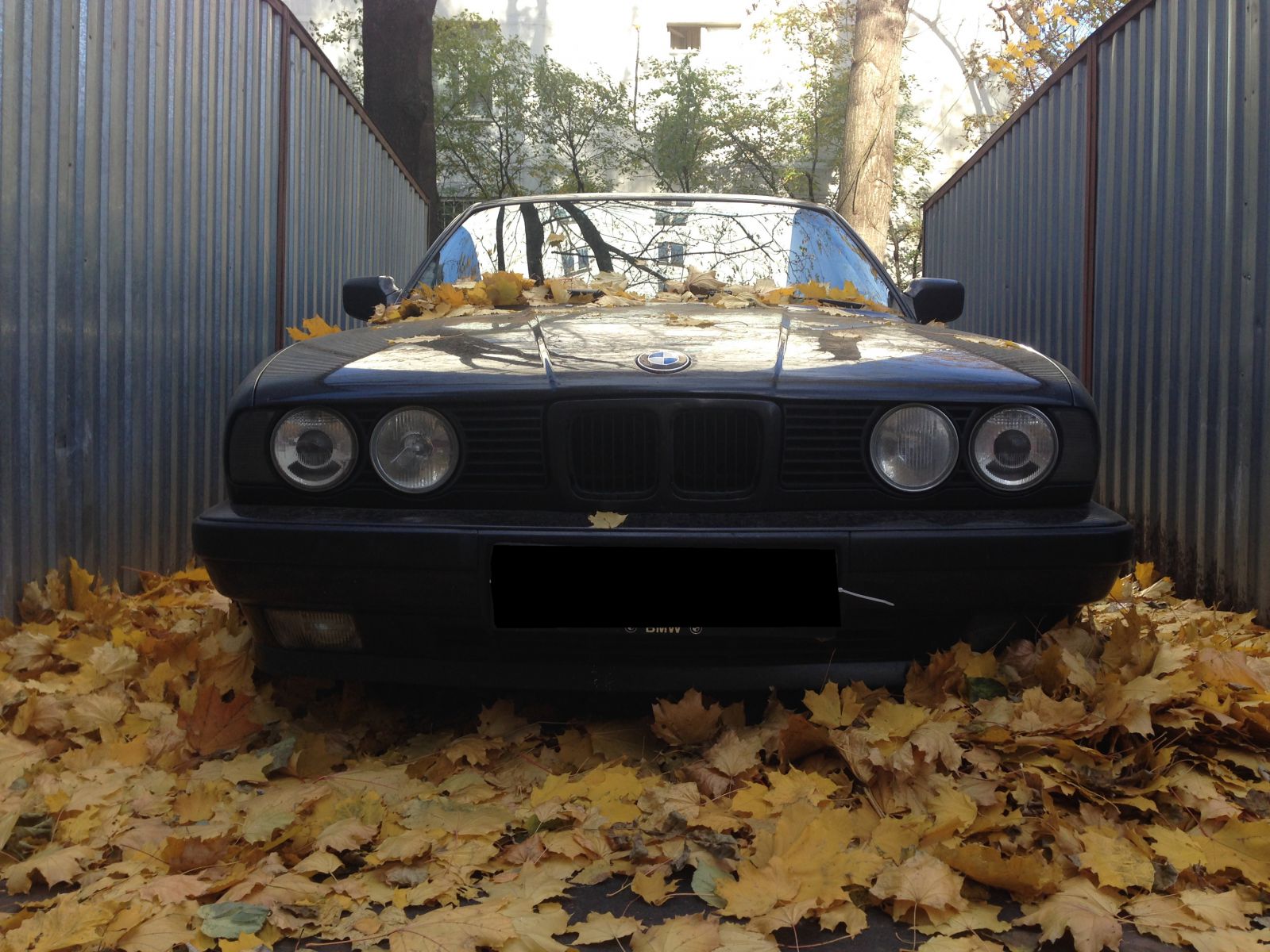 E34 535 мкпп