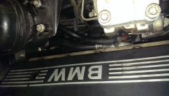 IMAG0617