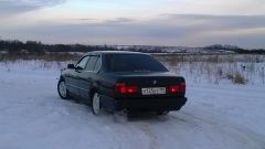 любимая попка)