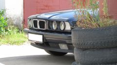 IMG 4981