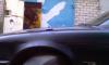 IMAG0456.jpg