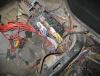 IMG_3833 small.JPG