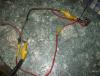 IMG_3825 small.JPG