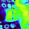 Dimurick
